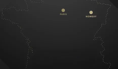 smartleg origine france garantie